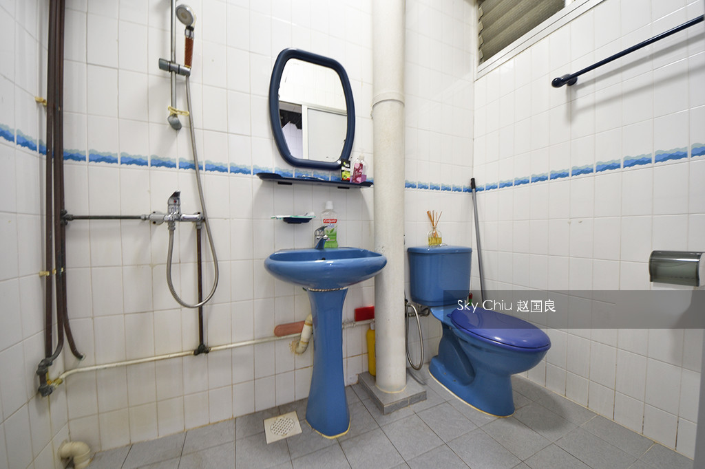 Blk 256 Kim Keat Avenue (Toa Payoh), HDB 5 Rooms #110612982